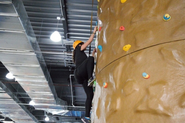  climbing the wall 